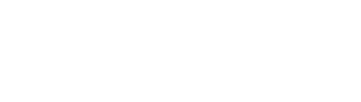 Logo In kurzer Zeit zu vollen Kursen